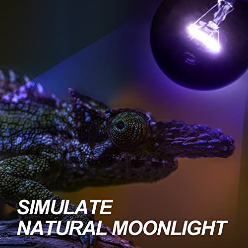 WACOOL 2Pack Reptile Night Heat Lamp
