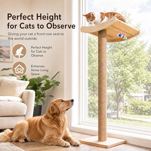 Cat Window Perch with Scratching Posts (Large)
