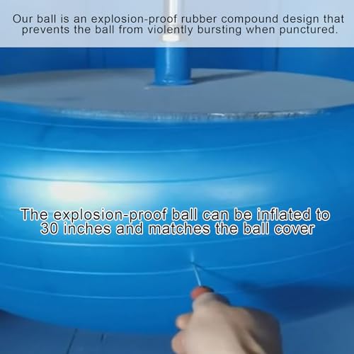Giant 30 Inch Herding Balls with Ball Cover (Blue / 30 Inch / Cute)