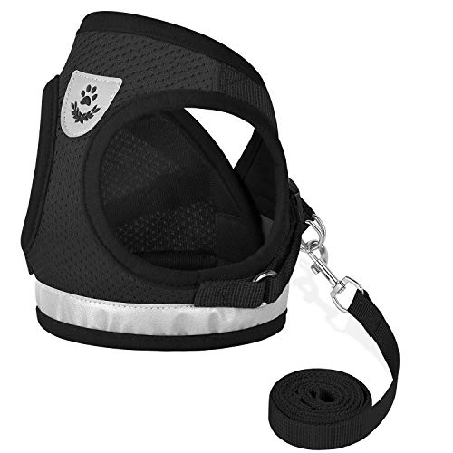 Cat Harness and Leash Set (XS (Chest: 6" - 8") / Black)