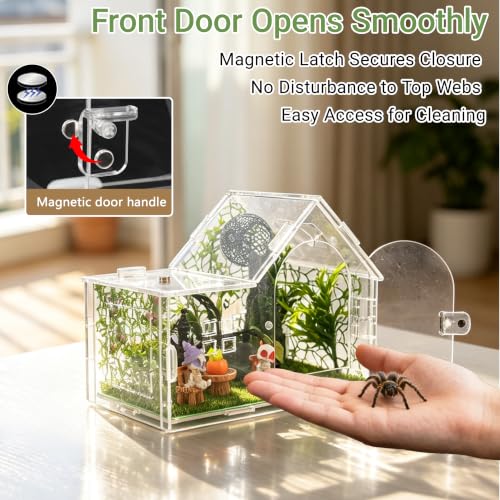 Acrylic Jumping Spider Enclosure Kit 23PCS with Decor (green-Gothic)
