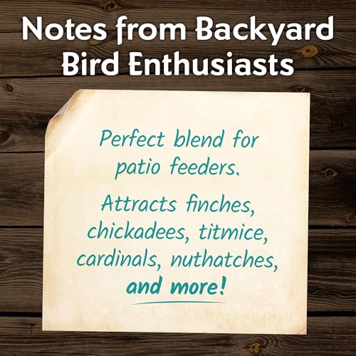 Clean & Free No Mess Wild Bird Seed (12 Pounds (No Mess))