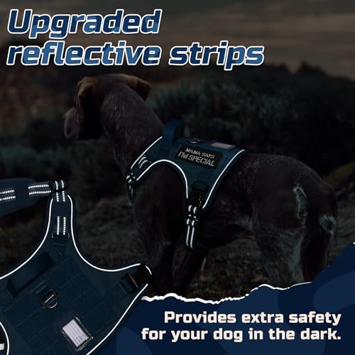 Tactical Dog Harness for Small (Blue / Small)