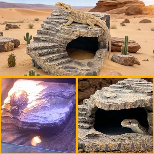 Large Turtles Basking Platform
