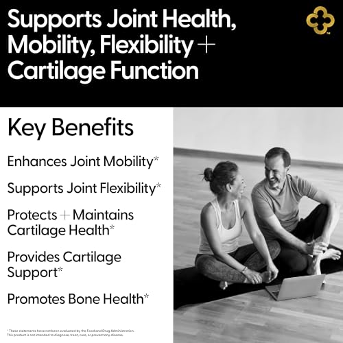 All-In-1 Joint Support Supplement: Glucosamine 1500mg Chondroitin MSM Turmeric Hyaluronic Acid Boswellia Ginger Bamboo BioPerine Supports Joints, Bones, Back, Knees & Hands Flexibility 90 Count