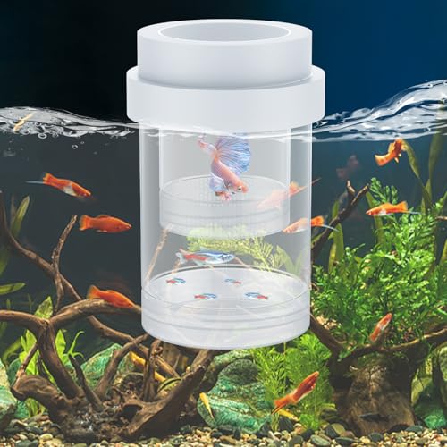 Breeder Box for Fish Tank (Medium)