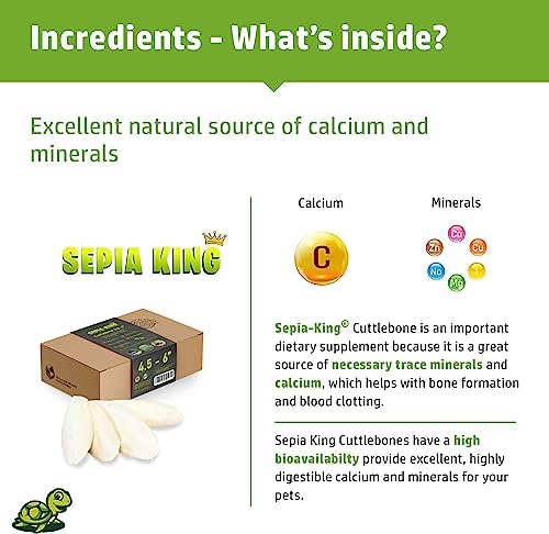 Medium 100% Natural Calcium Supplement