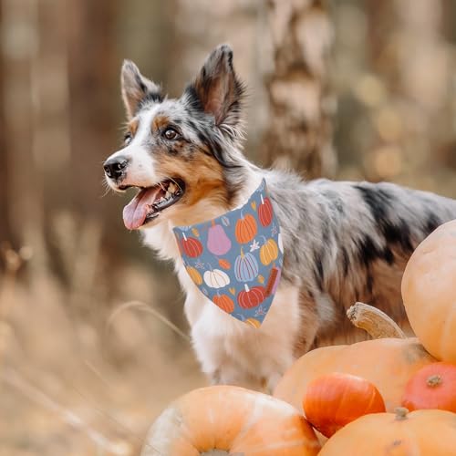 Thanksgiving Dog Bandana (Large / Thanksgiving)