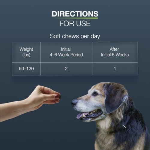 Nutramax Dasuquin Senior Joint Supplement for Large Dogs Soft Chews 84ct (Large Dog)