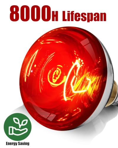 250W R40 Red Heat Lamp Bulbs (Red / 4 Pack)