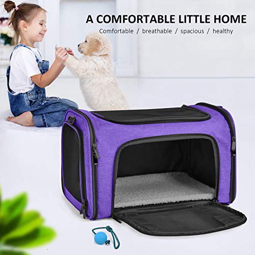 Pet Carrier for Small Medium Cats Dogs Puppies up to 15 Lbs (17.0"L x 11.0"W x 11.0"H / Purple)