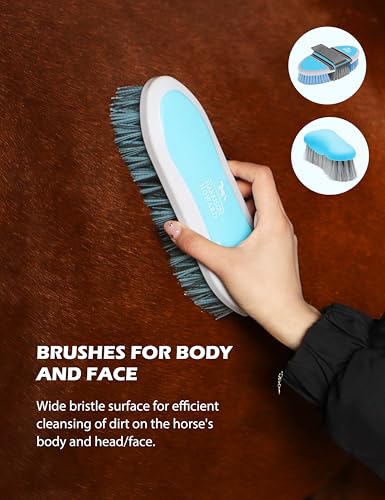 Horse Grooming Kit (Blue)