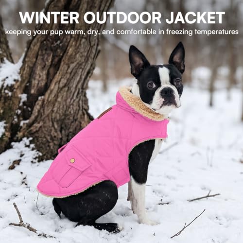 Waterproof Medium Dog Winter Coat Cold Weather Warm Fleece Jacket (Medium / Pink)