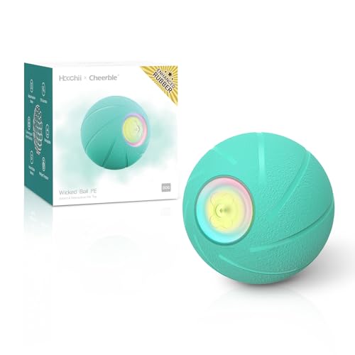 Interactive Dog Toys (Medium)
