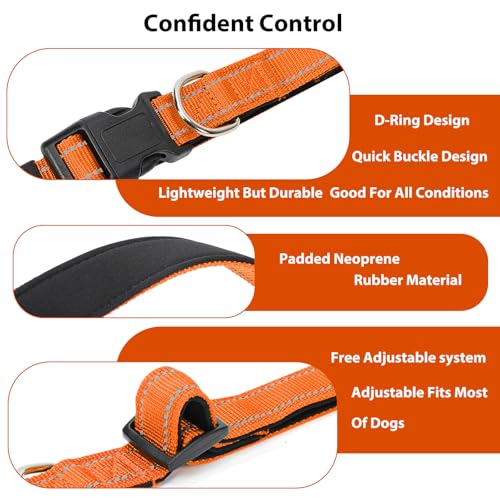 Reflective Dog Collar (Light Orange / XS:width 5/8"neck 8-10.5")