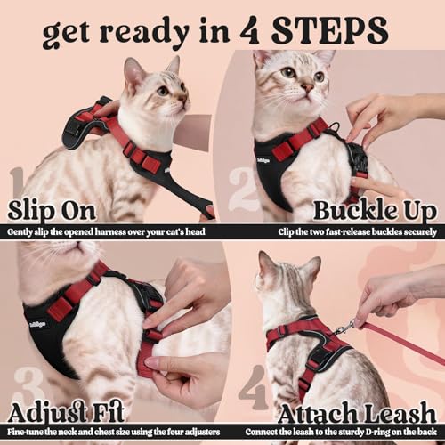 Cat Harness and Leash Set (Xs / Black & Red)