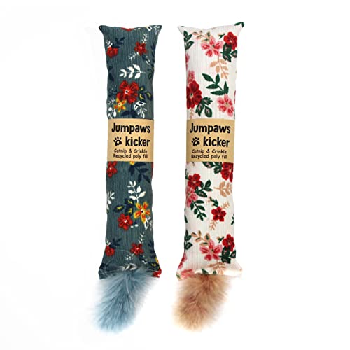 2 Pack Natural Interactive Catnip & Silvervine Cat Kicker with Feathers