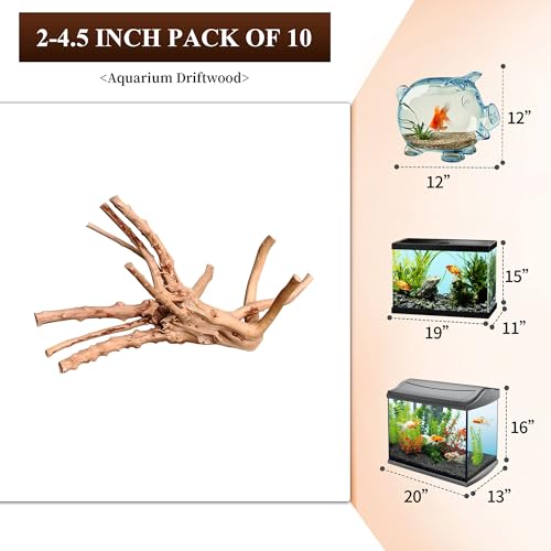 Natural Small Driftwood for Aquarium Decor Fish Tank Decor Reptile Decor (Spiderwood 2 to 4.5 Inch(Pack of 10))