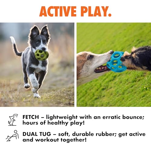 Max Fusion Helix Dog Toy