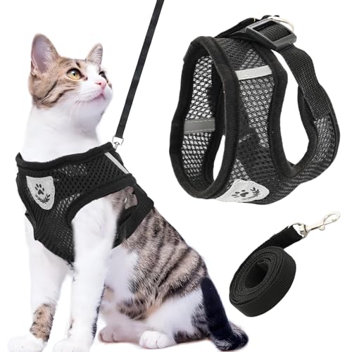 Cat Harness and Leash for Walking