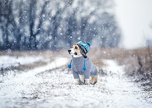 Small Dog Sweater for Small DogsBoy (Small / Grey)
