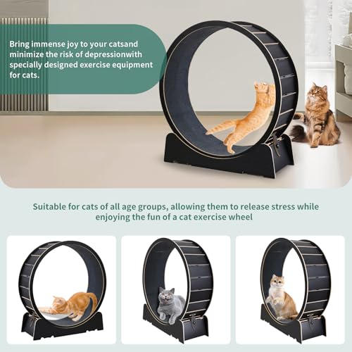 Large Cat Exercise Wheel 40 Inch Treadmill Exerciser for Indoor Cats Love Kitty Running Toy Walking Training for Fitness Weight Loss Device Suitable for Most Cats Physical Exercise (Black)