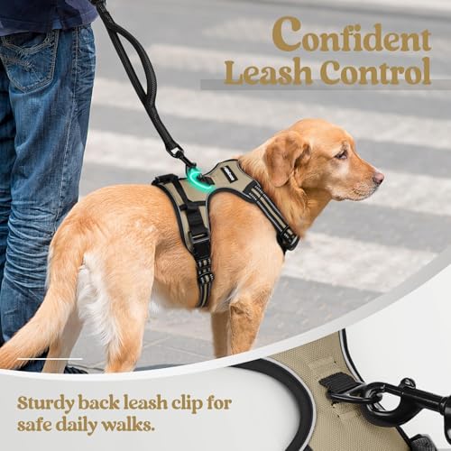 Dog Harness No Pull for Small Dogs with 2 Leash Clips (Small / Beige)