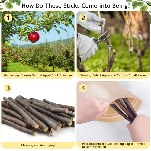 600g Organic Apple Sticks Small Animals Molar Wood Treats Toys for Chinchillas Guinea Pig Rabbits Hamster Gerbil Parrot Bunny Chew Stick Toys (1.33 Pound (Pack of 1))