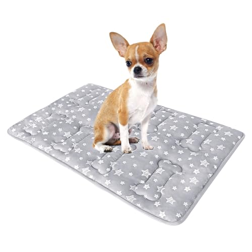 Dog Crate Mat (X-Small 21"X14" / Grey)