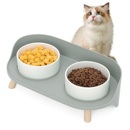 Elevated Dog Bowls Set (Gray)