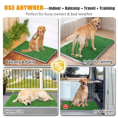DDog Grass Pee Pad with Stainless Steel Tray (Potty System Size -31.5''x 20")