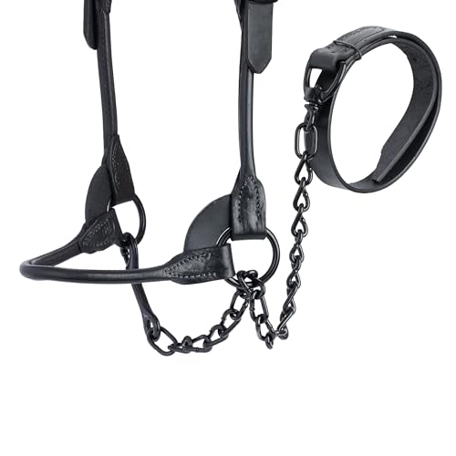 Weaver Leather Livestock Black Magic Show Halter (Medium / Black)