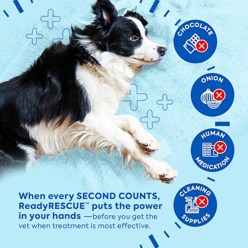 Activated Charcoal for Dogs and Cats Clinically Studied 12Pack (12 Vials (Multi-Pet & Breeder Pack))