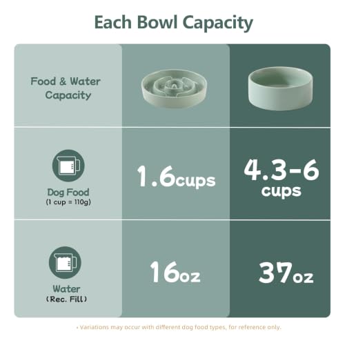Elevated Slow Feeder Dog Bowls (Light Green)