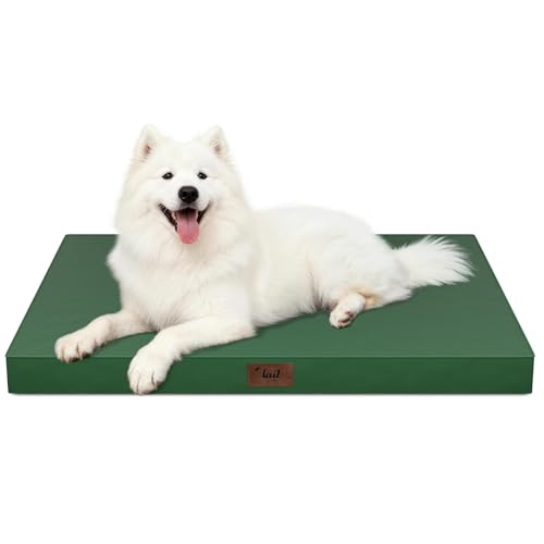 Large Waterproof Orthopedic Dog Bed with Egg Crate Foam (Dark Green / 41.0"L x 27.0"W x 3.5"Th)