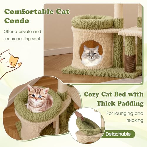 Cute Cat Tree