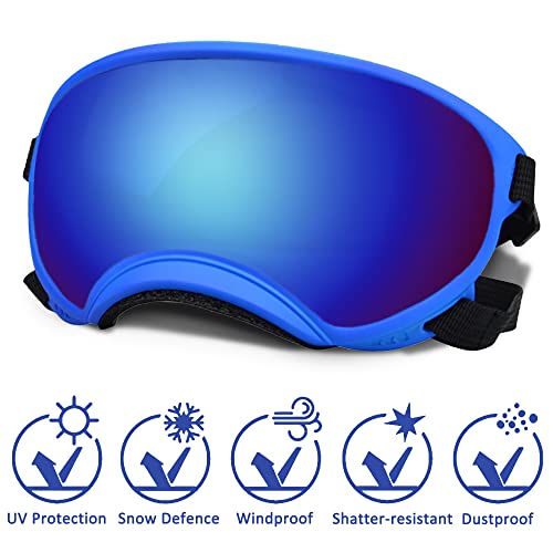 Large Dog Sunglasses