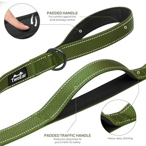 6FT 1IN Heavy Duty Dog Leash for Large Dogs with 2 Padded Handles (Green / 1 in x 6 ft)