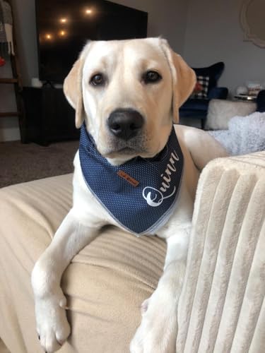 Dog Bandana for Small Medium Large Dogs (Blue Dot / Large (Pack of 1))