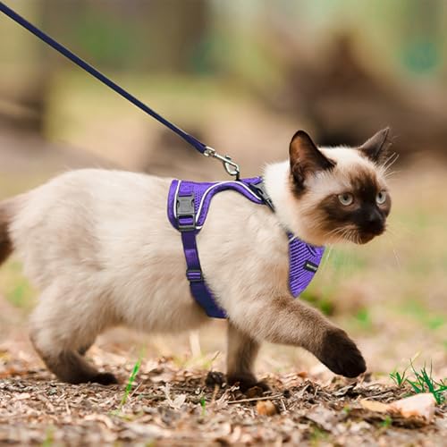 Cat Harness and Leash Set for Walking Escape Proof (Purple / X-Small)