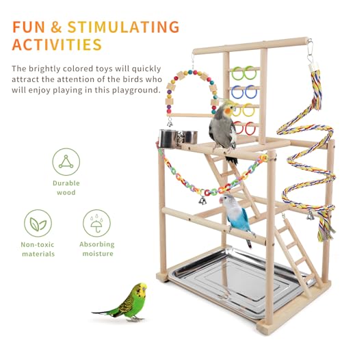 Bird Playground