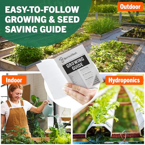 Vegetable Fruit & Herb Seeds