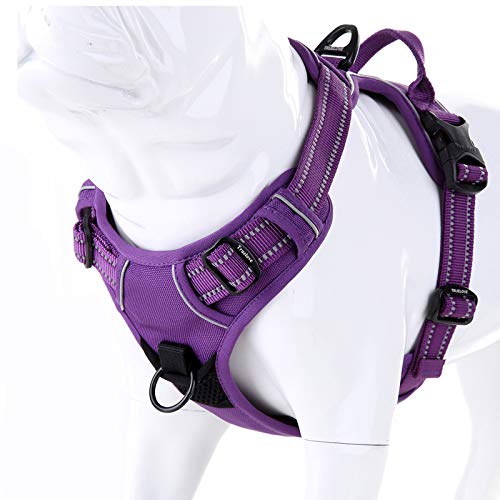 Truelove No Pull Dog Harness with Easy Control Handle and 2 Leash Attachments (Small / purple)
