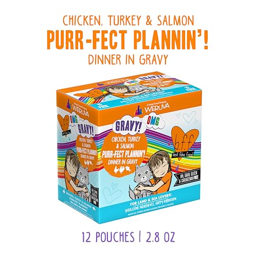 B.F.F. OMG Best Feline Friend Oh My Gravy! (2.8 Ounce (Pack of 12))