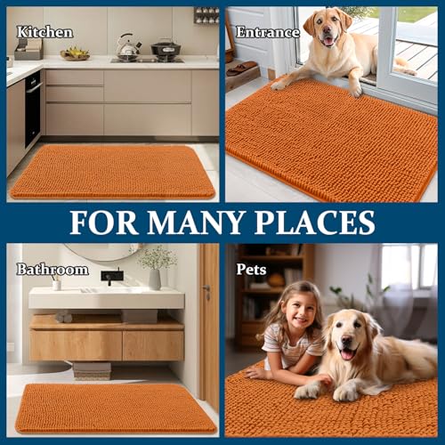 Dog Door Mat for Muddy Paws 47x32 (Clay / 47" X 32")