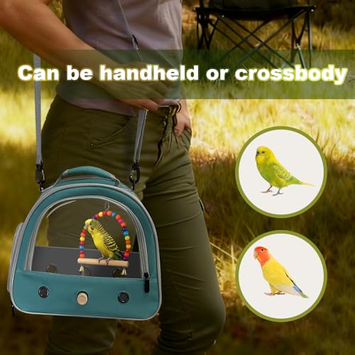 Portable Parrot Travel Cage Carrier with Small Swing Toy&Cage Colorful Toys Set Small Bird Parakeet Bag with Standing Perch Bird Carry Transport Bag (Green / 12.0"L x 7.0"W x 12.0"H)
