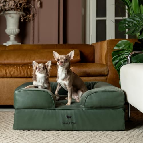 Dog Bed Orthopedic Memory Cooling Foam (Green - LE / Medium)