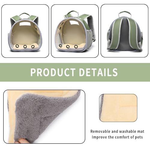 Bunny Carrier (Army Green)