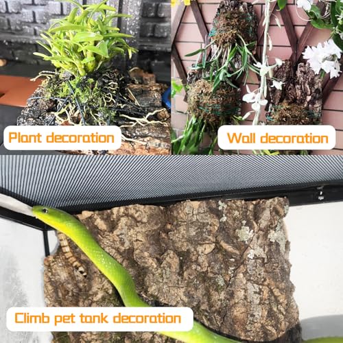 8PCS Cork Terrarium Background 15.7x11.8in Natural Large Cork Bark Backdrop Reptile Climbing Mat Tank Habitat Decor for Spider Lizard Chamelon Turtle Beared Dragon (8PCS-15.7x11.8in)