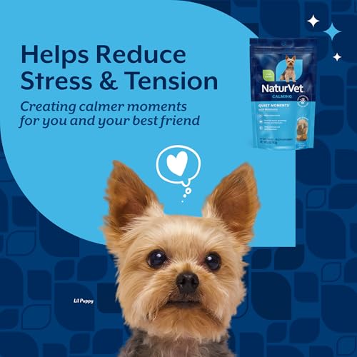 Quiet Moments Calming with Melatonin Dog Supplement (65 Count (Soft Chews))